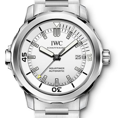 202302260229196 - V6廠萬國海洋時計繫列 1比1超級高仿手錶 IW329004￥2880